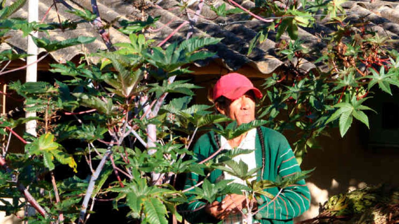 María Luisa Fuentes protagoniza la inusual historia de ‘Señorita María’. Una trans campesina que vive en el norte de Boyacá.