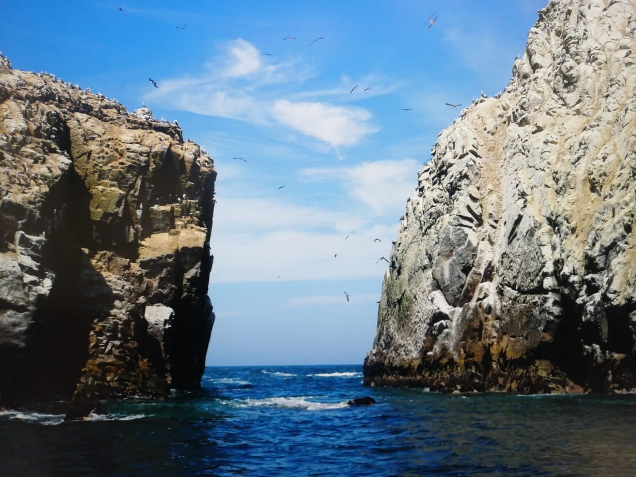 Islas Palomino.