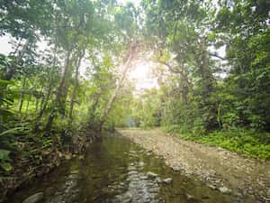 Sapzurro, una joya oculta en la selva con espectaculares playas paradisíacas