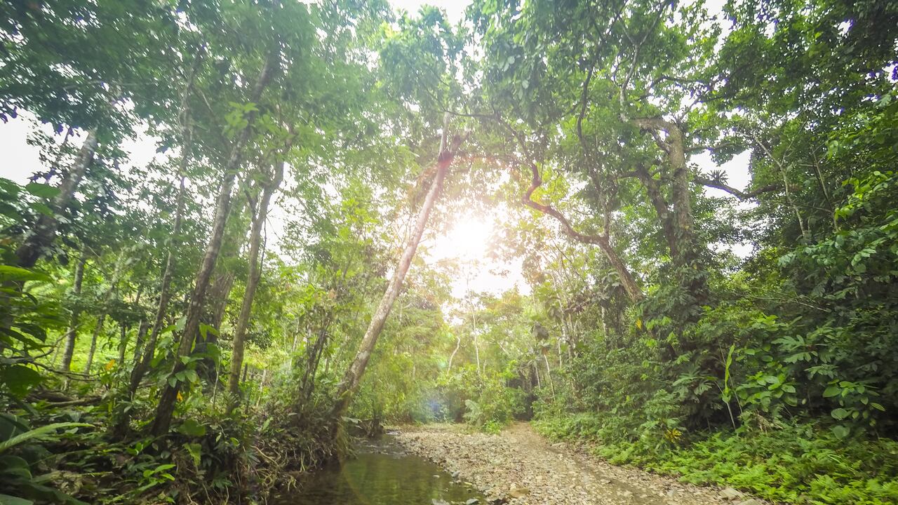 El exótico pueblo de Colombia fronterizo con Panamá, oculto en la selva y famoso por sus playas paradisíacas