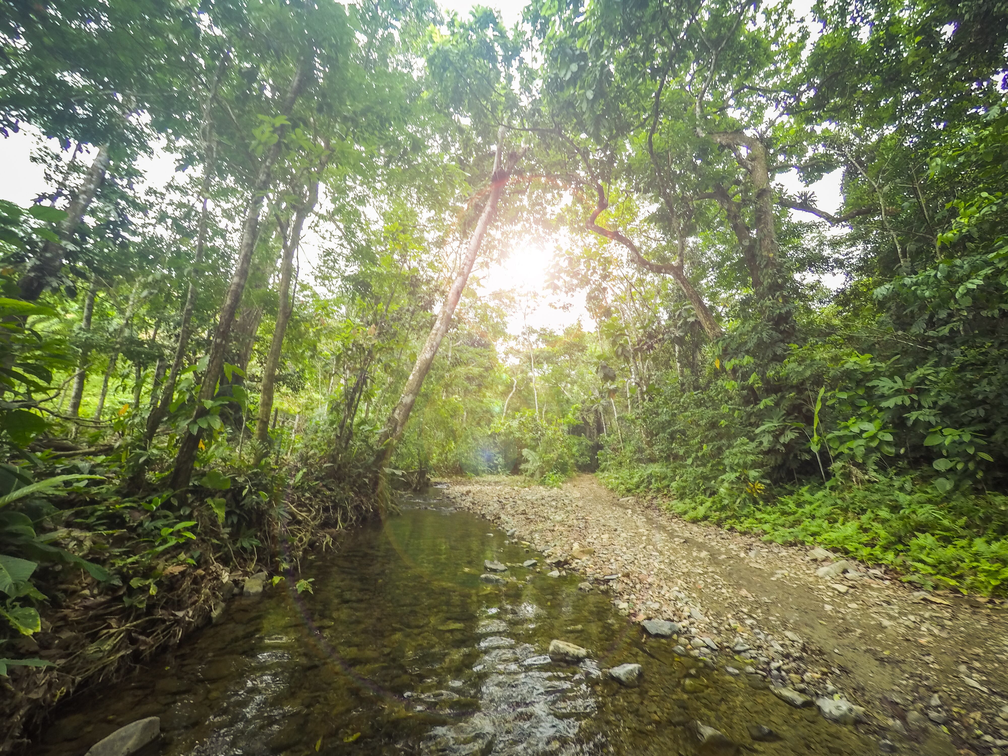 El exótico pueblo de Colombia fronterizo con Panamá, oculto en la selva y famoso por sus playas paradisíacas