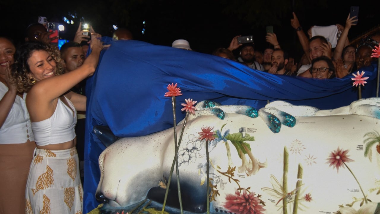 ‘Floresmira’, la gata COP16.