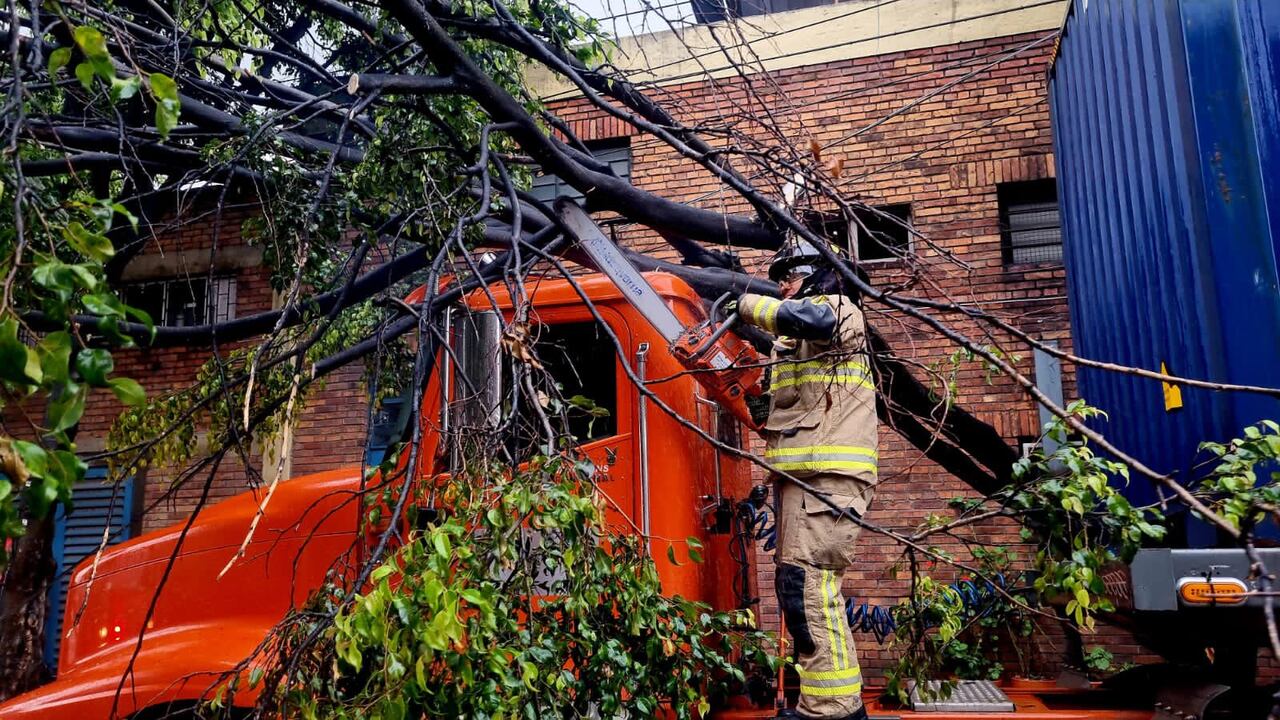 Bomberos de la estación Central realizan el corte y tronzado de un árbol que cayó sobre una tractomula en la carrera 42b con calle 12a.