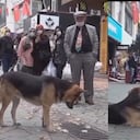 El comportamiento del perro llamó la atención de los transeúntes. Incluso, motivó la intervención de los bomberos.