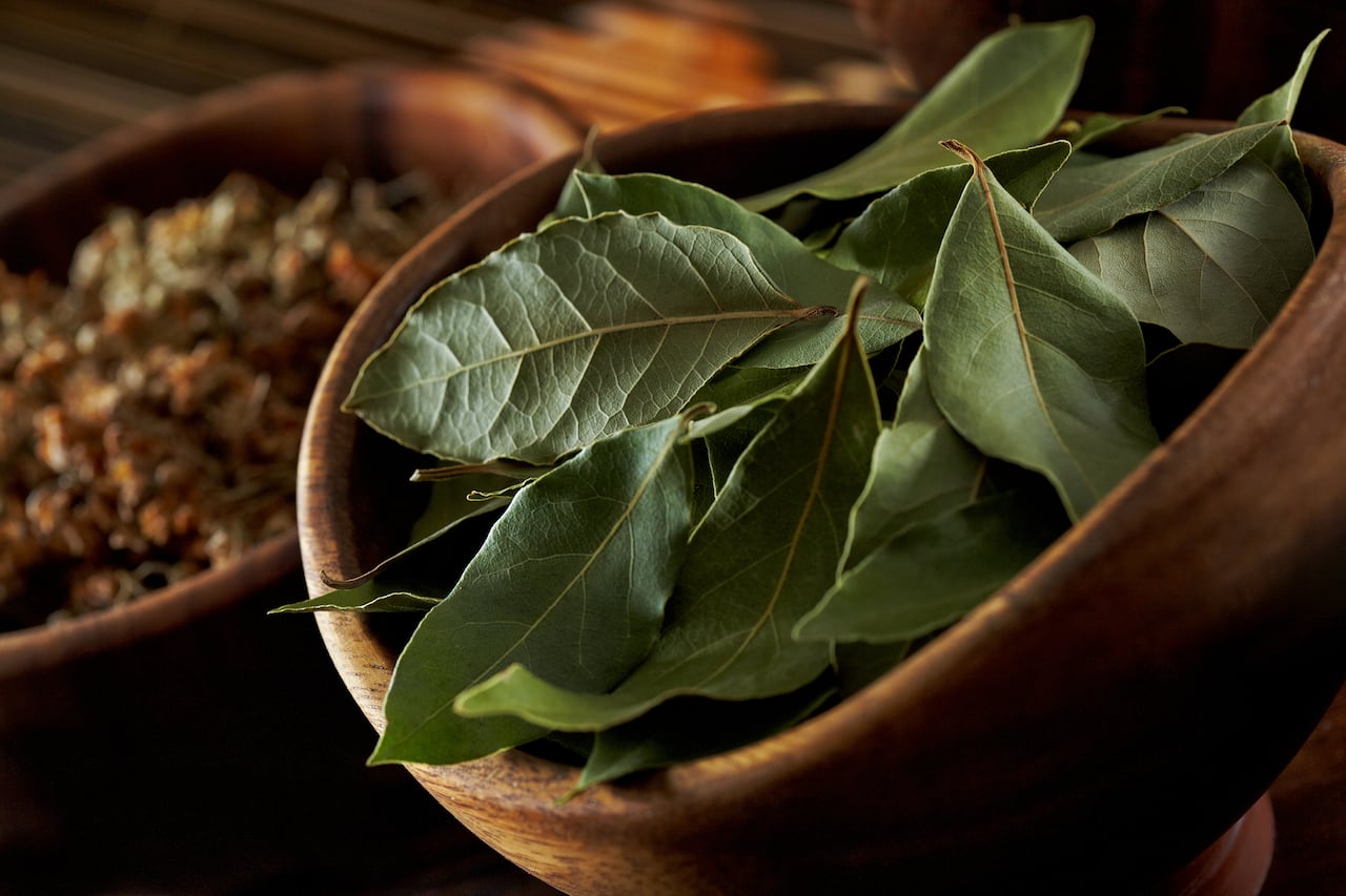 Triunfe en su día a día: inspiración y motivación con una hoja de laurel.