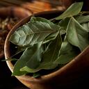 Conexión con la naturaleza: la hoja de laurel, conozca por qué debe tenerla en su hogar