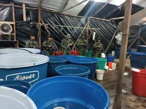Operación contra la producción de droga en Nariño.
