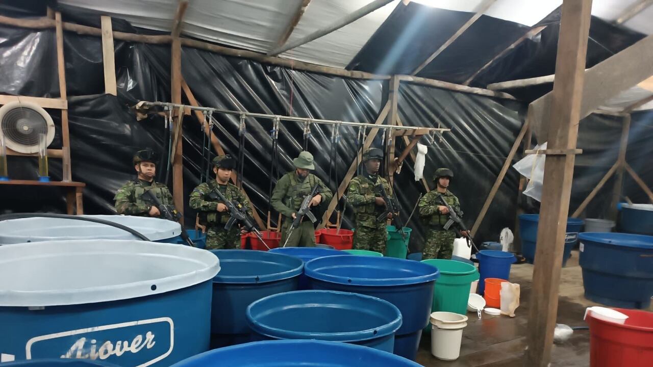 Operación contra la producción de droga, en Nariño.