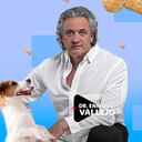 Moquillo | Enrique Vallejo en Salud Animal