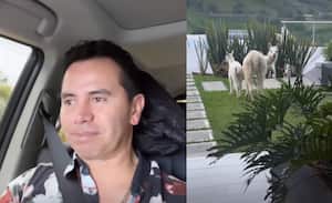 Jhonny Rivera mostró en redes sociales la asombrosa vista que tiene en su finca.