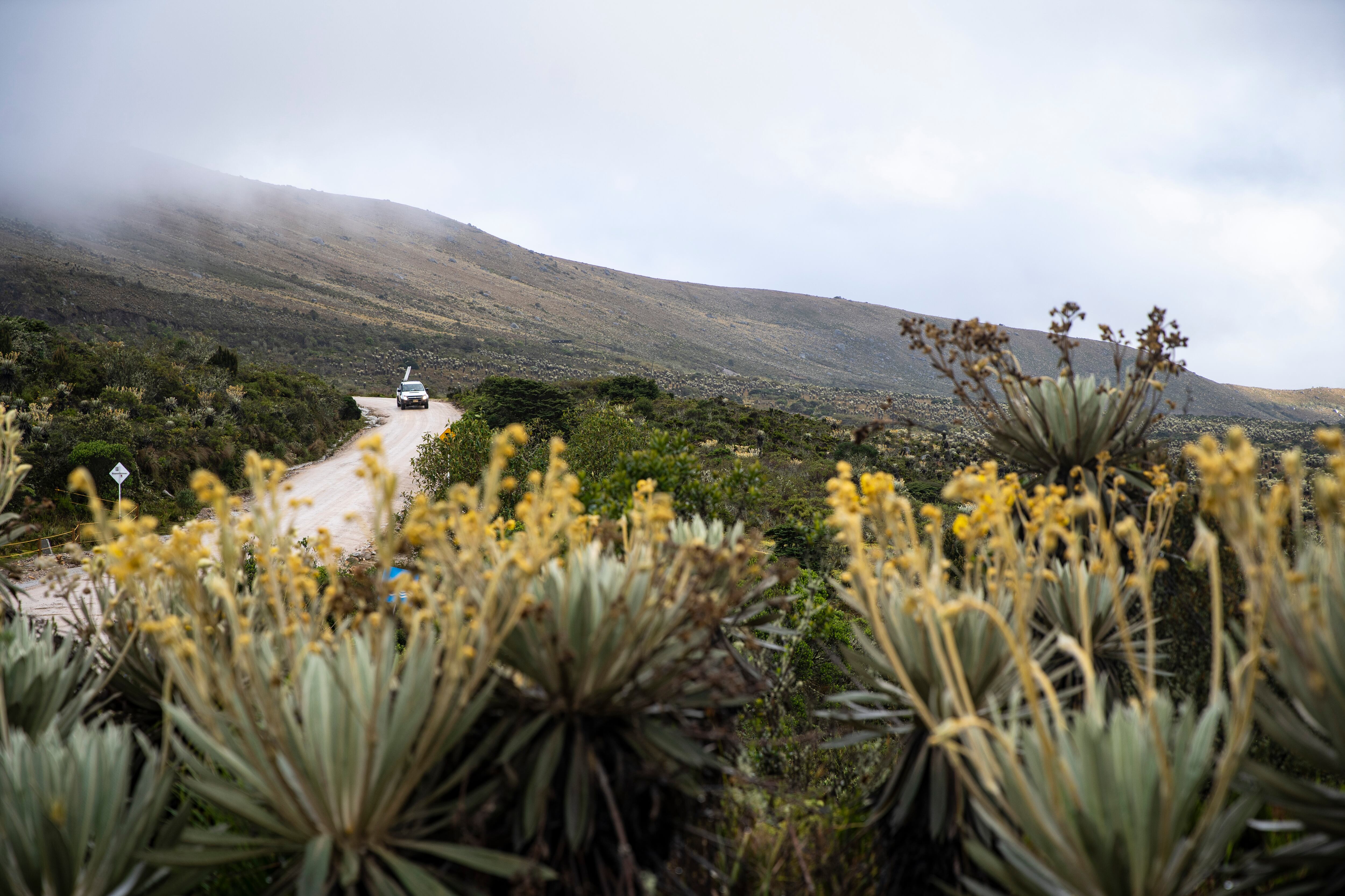 La clausura se realizará el 25 de septiembre en Maloka (Bogotá): habrá conversatorios, proyecciones de cortometrajes en el Cine Domo y, finalmente, la premiación. Son más de 200 las producciones que participan.