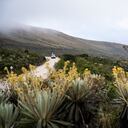 La clausura se realizará el 25 de septiembre en Maloka (Bogotá): habrá conversatorios, proyecciones de cortometrajes en el Cine Domo y, finalmente, la premiación. Son más de 200 las producciones que participan.