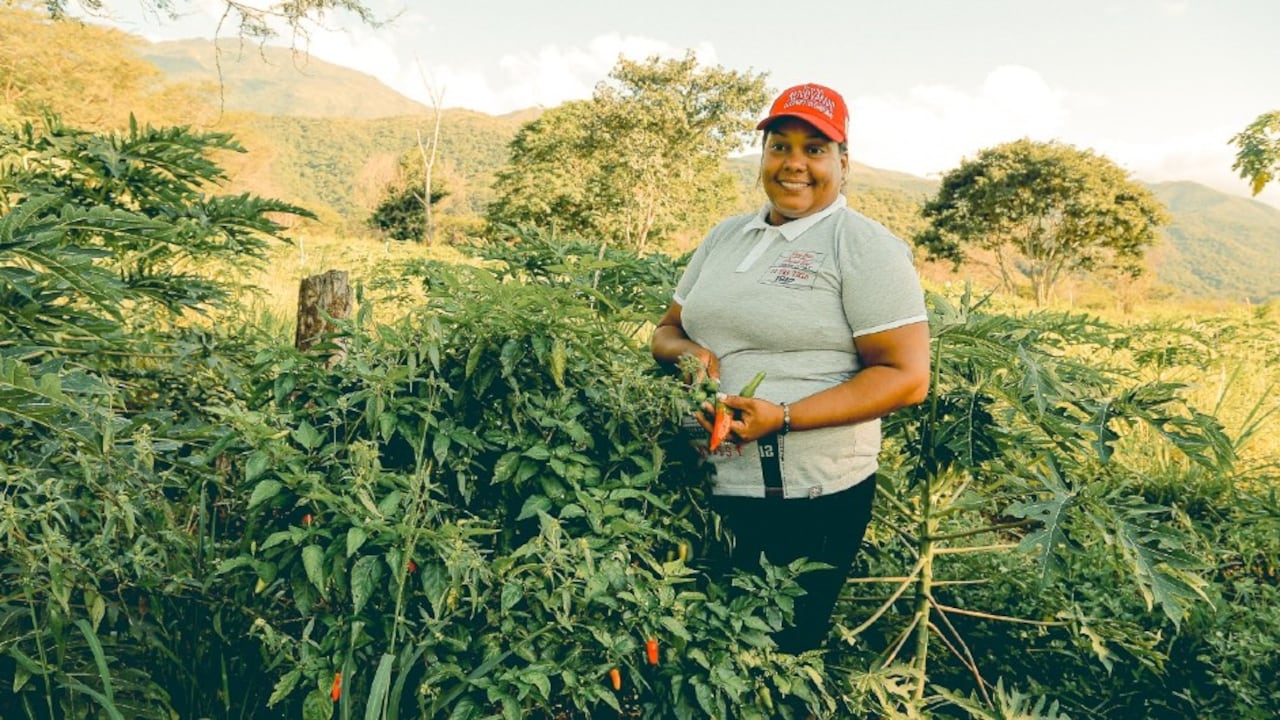 Empleos en municipios PDET.