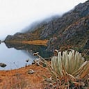 Los ambientalistas consideran que la zona donde MInesa pretende trabajar hace “parte integral del ecosistema del complejo del páramo de Santurbán”. Y que el agua que sale de allí alimenta acueductos de 23 cabeceras municipales, entre ellas la de Bucaramanga.