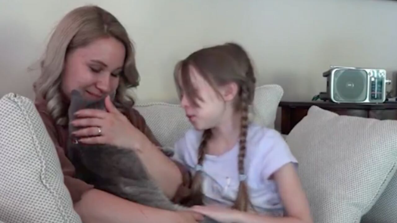 La travesía del gatico Arsenii para reunirse con su dueña tras la guerra en Ucrania.