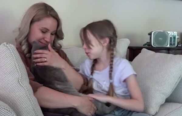 La travesía del gatico Arsenii para reunirse con su dueña tras la guerra en Ucrania.