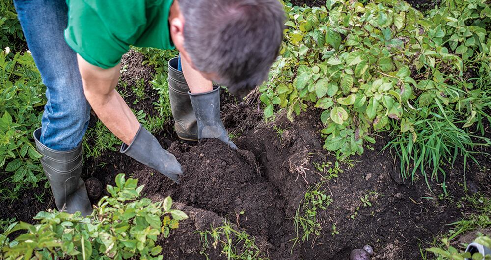    Las actividades primarias, como el agro y el sector minero-energético, impulsaron el crecimiento y avanzaron 10,26 por ciento en enero frente al mismo mes de 2023. El gran lunar es lo que está pasando con industria, construcción e incluso comercio.