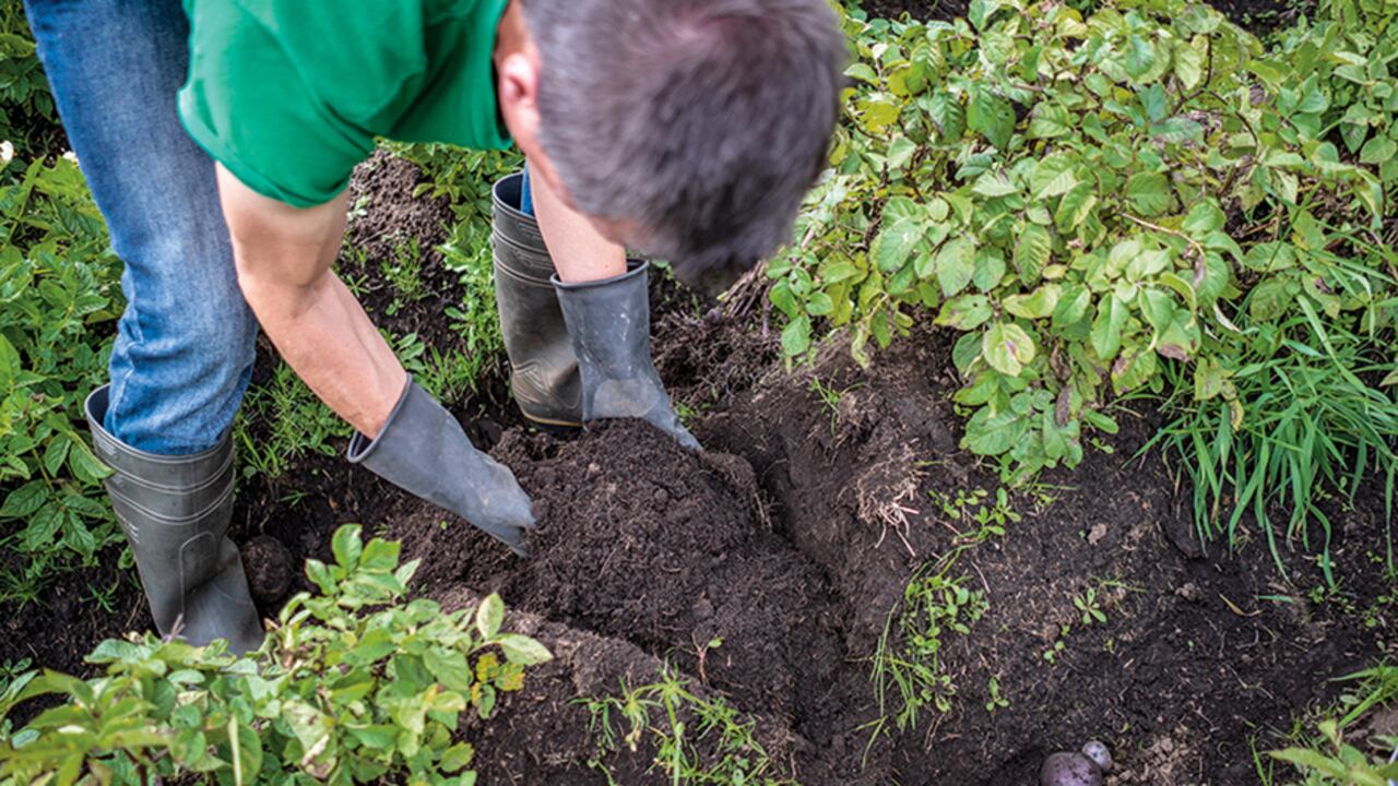En concepto de los demandantes, la regulación debilita la autonomía territorial y genera incertidumbre para la inversión y la seguridad jurídica, al invadir competencias de los concejos.