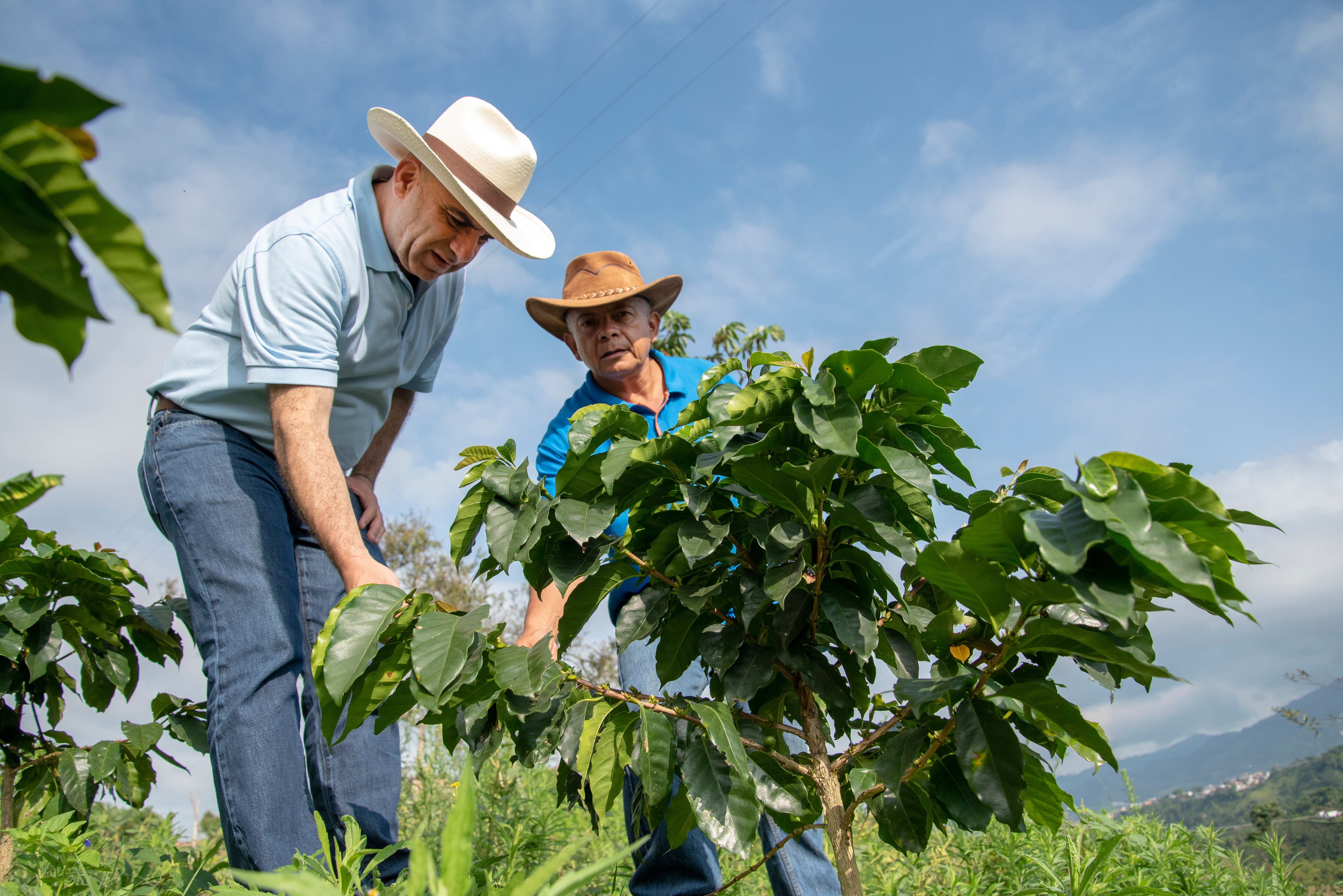 Francisco Mejía ((izq.), presidente del Banco Agrario: Desde agosto de 2018 la entidad ha colocado una cifra récord de 11,4 billones de pesos en créditos blandos a pequeños y medianos productores.
