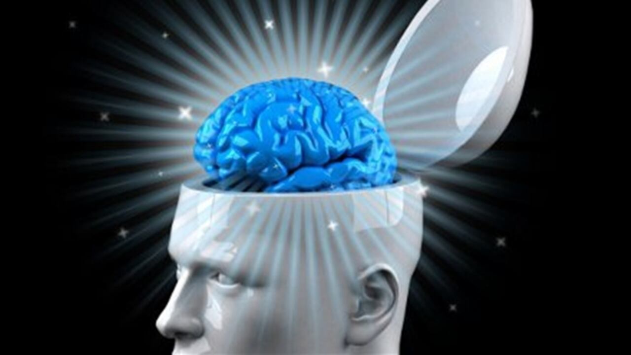 Se debe depurar el cerebro con regularidad para poder vivir saludablemente.