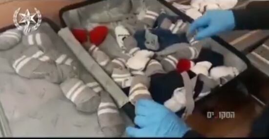 Equipaje con reptiles