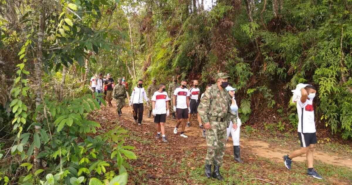 En Antioquia, Chocó y Córdoba dentro de la operación Artemisa, soldado del ejército han sembrado unos 23.779 árboles. Foto: Ejército Nacional