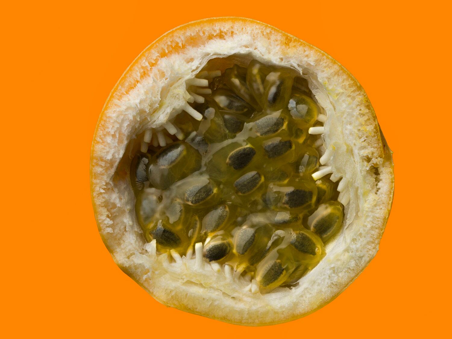 Granadilla