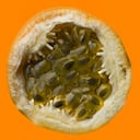 Granadilla