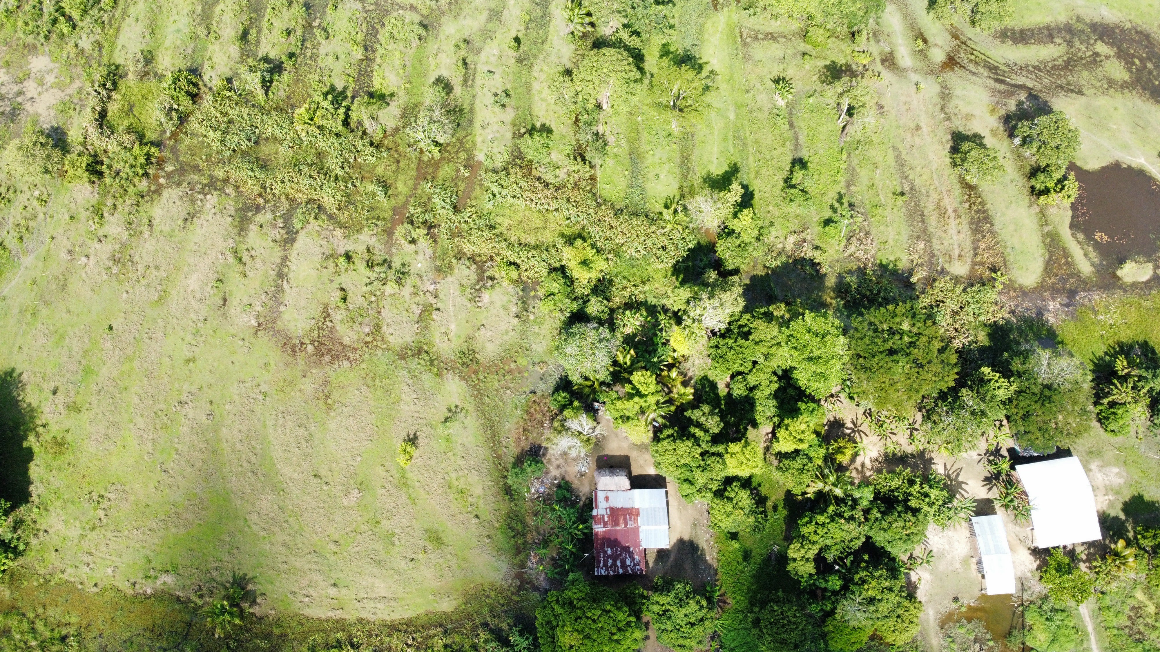 La Mojana