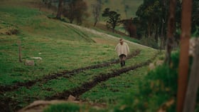 Según el Banco Agrario, a lo largo del Gobierno actual han desembolsado más de 44 billones de pesos en créditos para el campo.