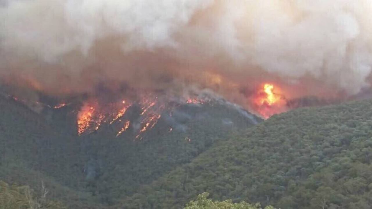 Victoria cubierta por el humo/ Australia/ AP