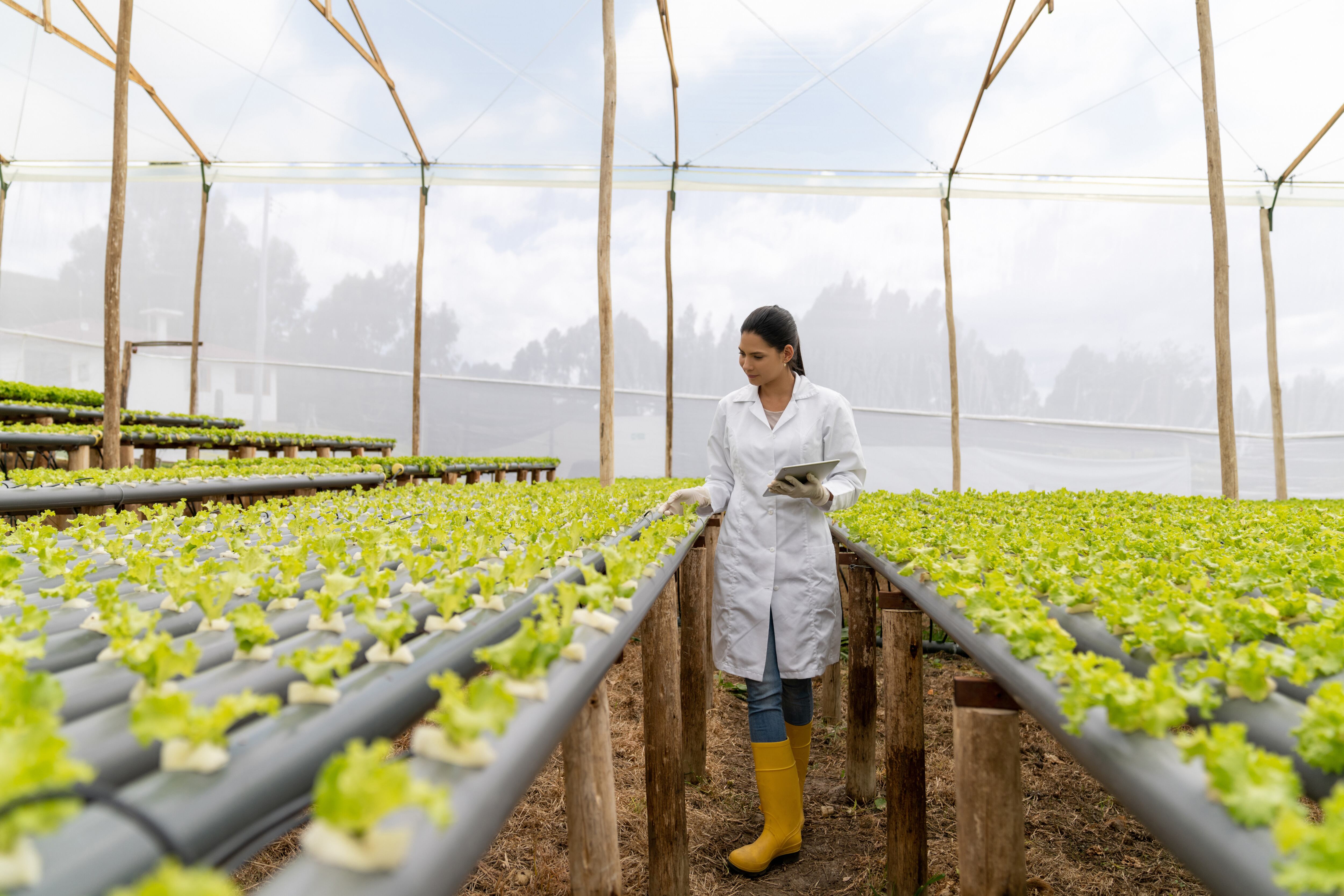Es fundamental amplificar el rol que puede tener el sector agropecuario en la generación de empleo y el crecimiento económico a largo plazo.