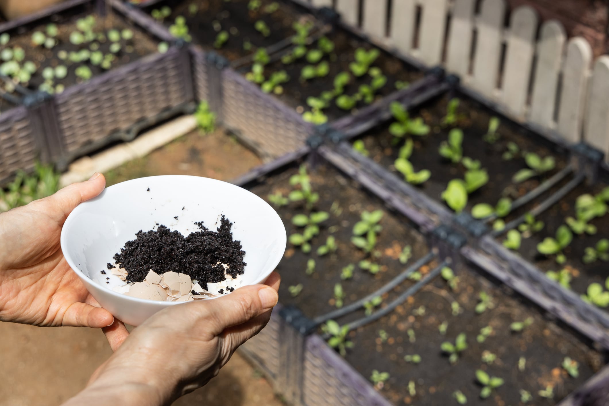 Posos del café - Foto de referencia sobre su uso