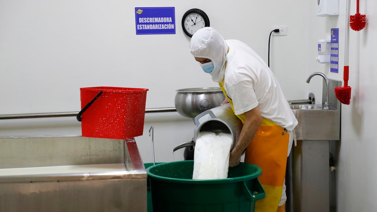 El sector ganadero tiene otro plus y es la producción de leche cruda que asciende a 7414 millones de litros anuales y se trata de un mercado de $12 billones, es decir, unos USD 2727 millones.