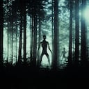 El video se ha hecho tan viral que ya tiene más de dos millones de reproducciones.