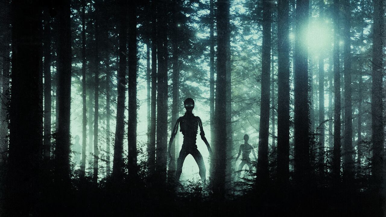 El video se ha hecho tan viral que ya tiene más de dos millones de reproducciones.