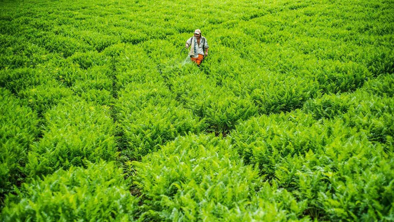 Esta es una estrategia producto de la articulación entre la Agencia de Desarrollo Rural como miembro de la Mesa Nacional de Compras Públicas Locales