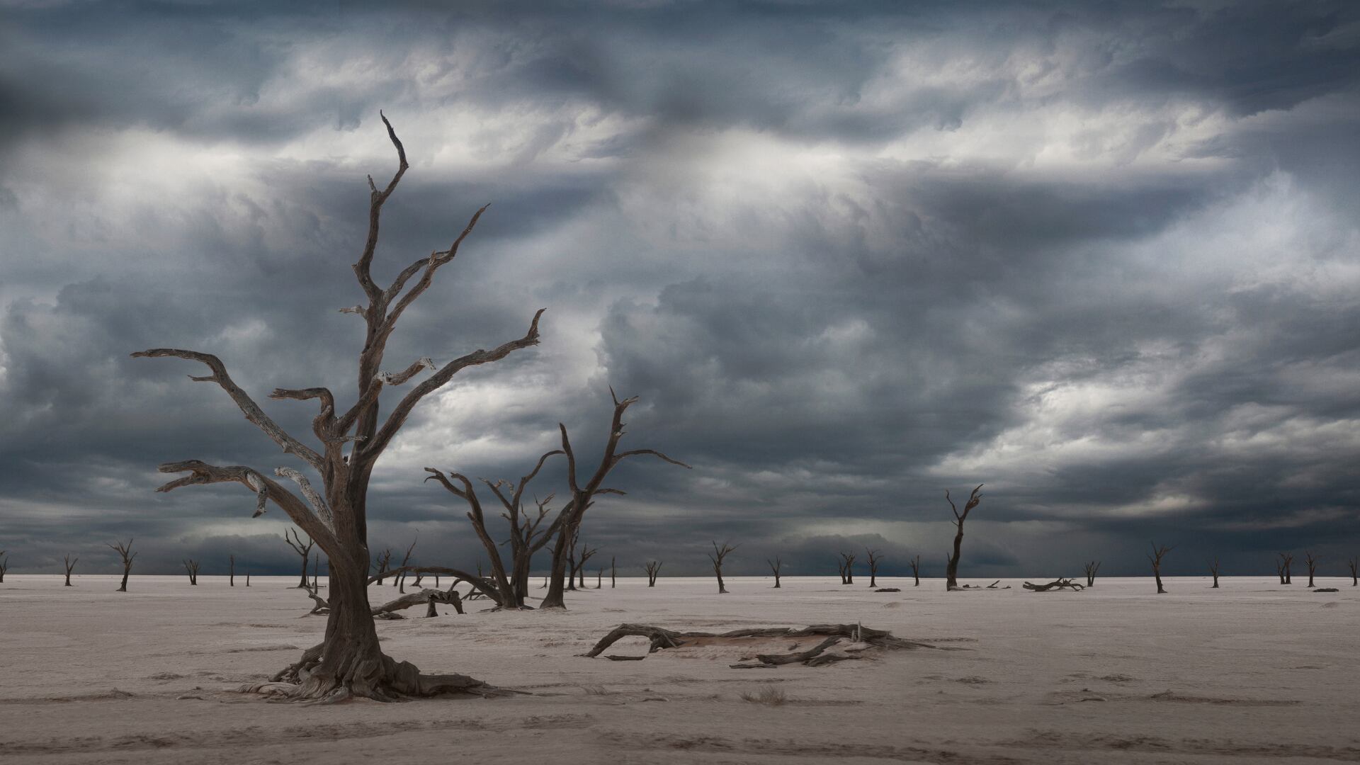 El fin de la humanidad es un tema que inquieta a mucho curiosos.