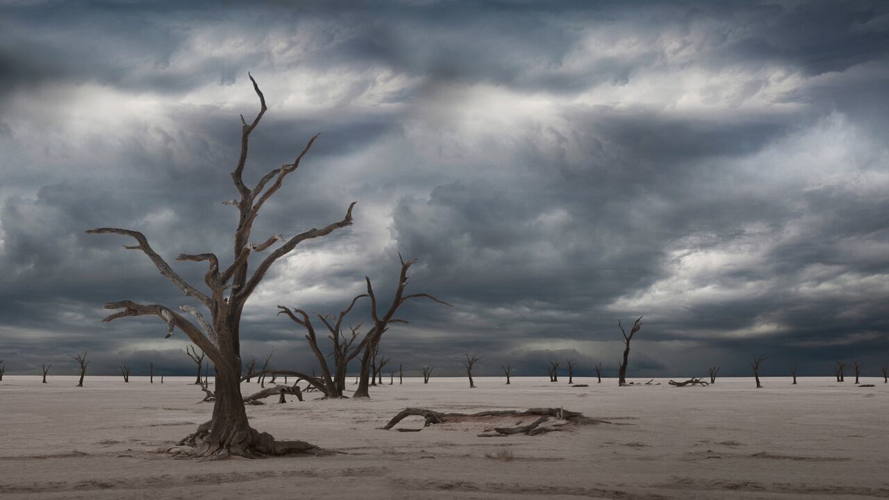 El fin de la humanidad es un tema que inquieta a mucho curiosos.