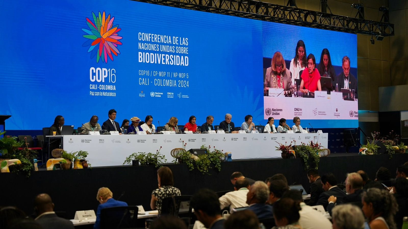 En el salón Amazonía de la Zona Azul, los ministros y representantes de los 196 países de Naciones Unidas adelantan negociaciones claves para definir cómo se cumplirán las metas acordadas hace dos años en el Marco Mundial de Kunming-Montreal. Las fuentes de financiación, mecanismos de monitoreo y el seguimiento de los planes son algunos puntos principales.