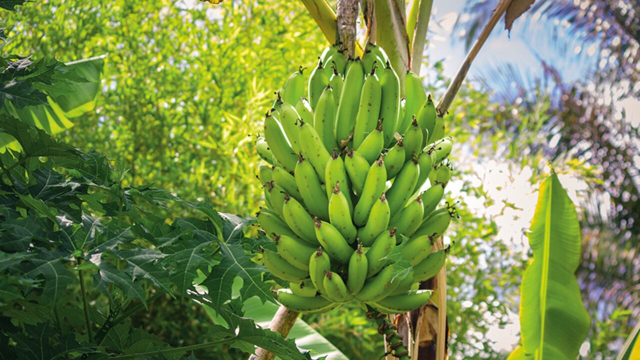 Apartadó: liderazgo para la región