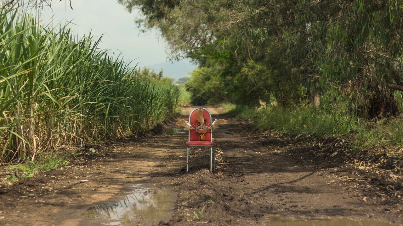 Abrir monte y más propuestas, en la Galería Santa Fe desde este 22 de mayo.