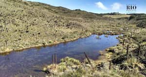 Tan solo 10 kilómetros del río Bogotá, después de su nacimiento en en páramo de Guacheneque, tienen aguas cristalinas.  Foto: Jhon Barros.