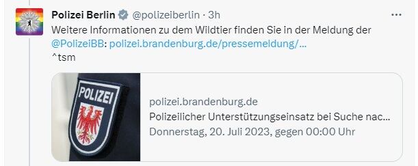 La policía de Berlín informó a través de sus redes sociales.