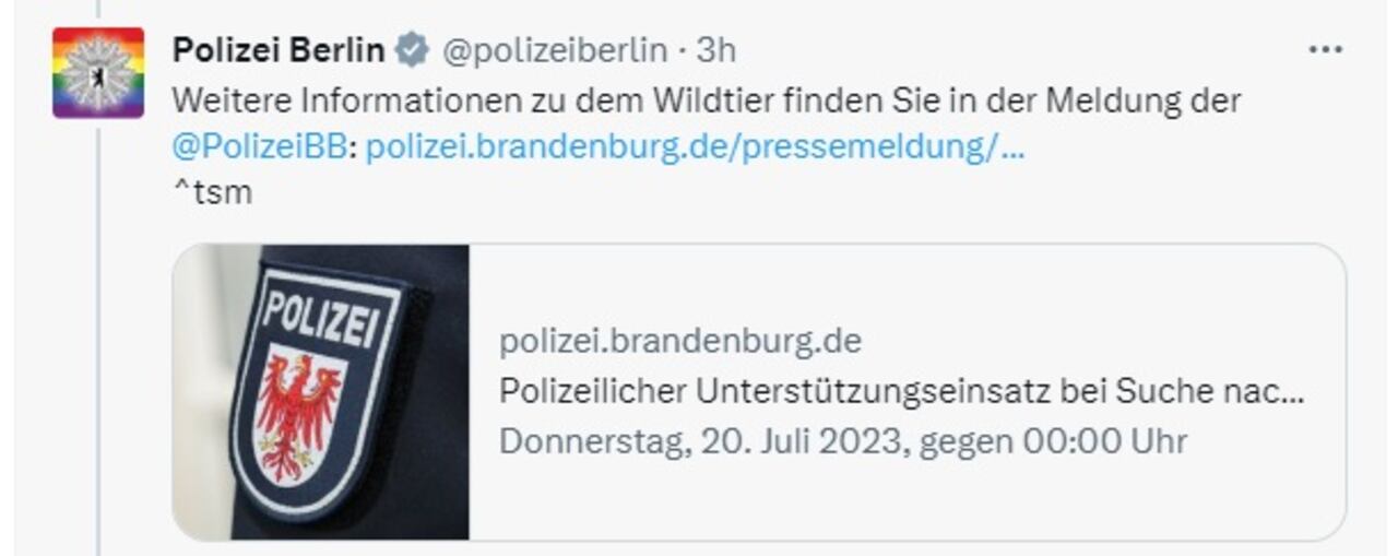 La policía de Berlín informó a través de sus redes sociales.