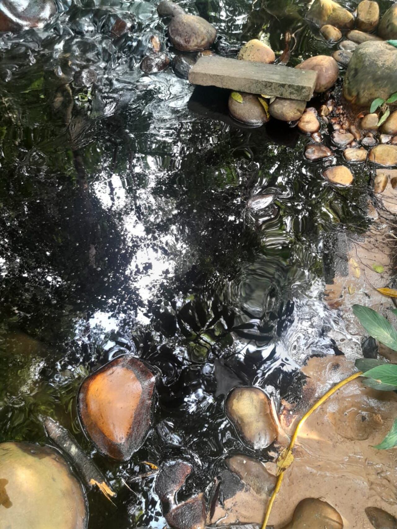 Contaminación de un afluente.