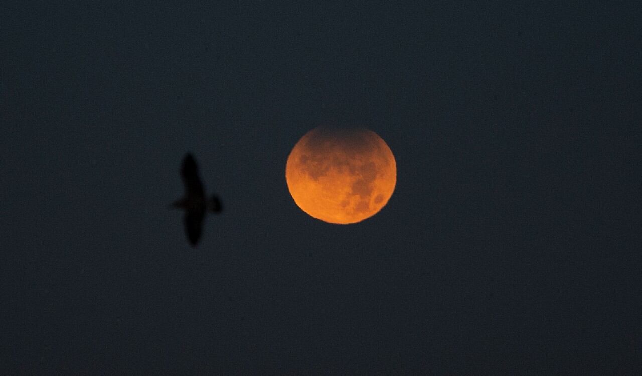 El cielo de Galicia en España pudo observar la luna roja gracias al eclipse