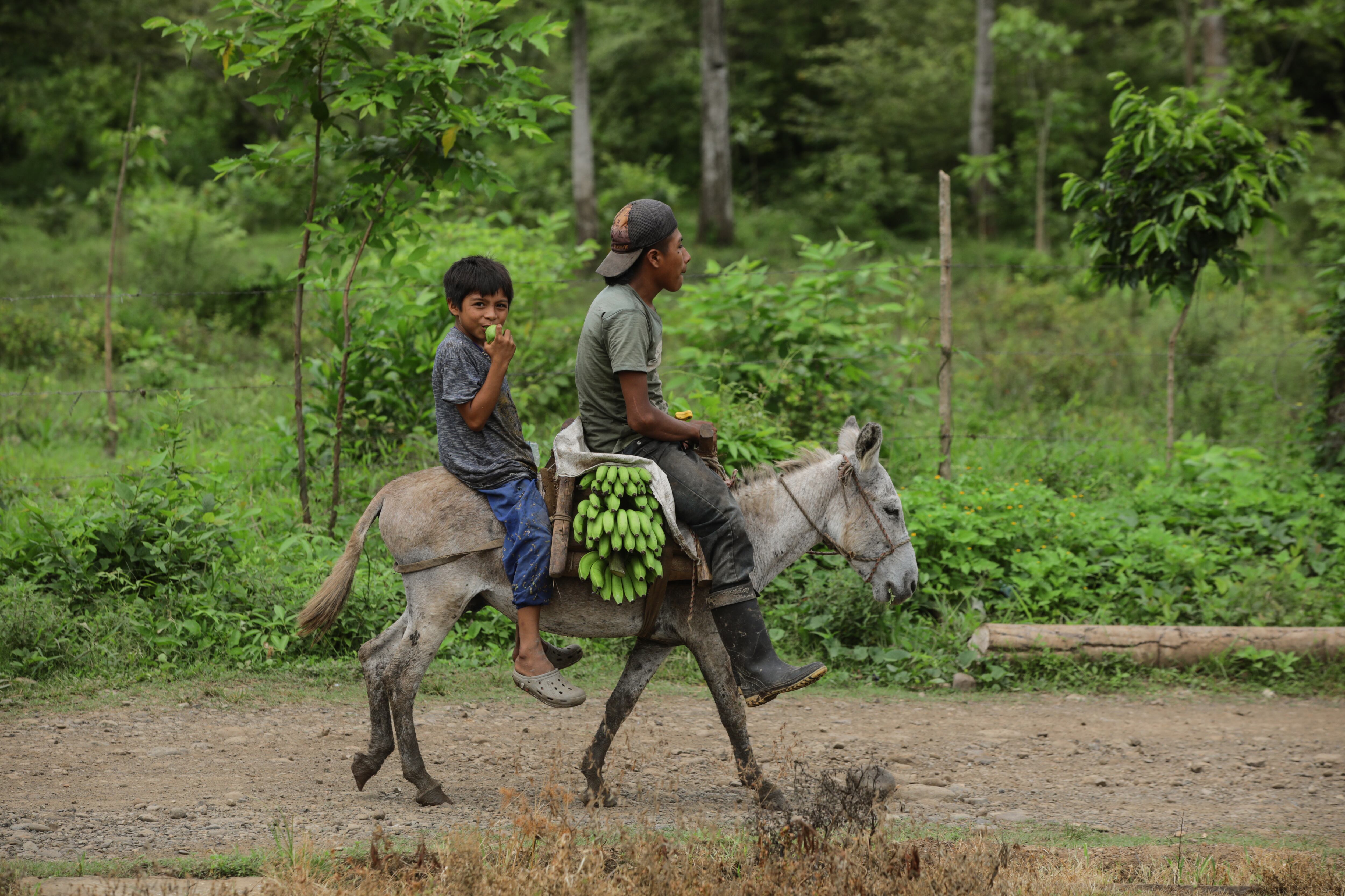 Darién reserva biosfera