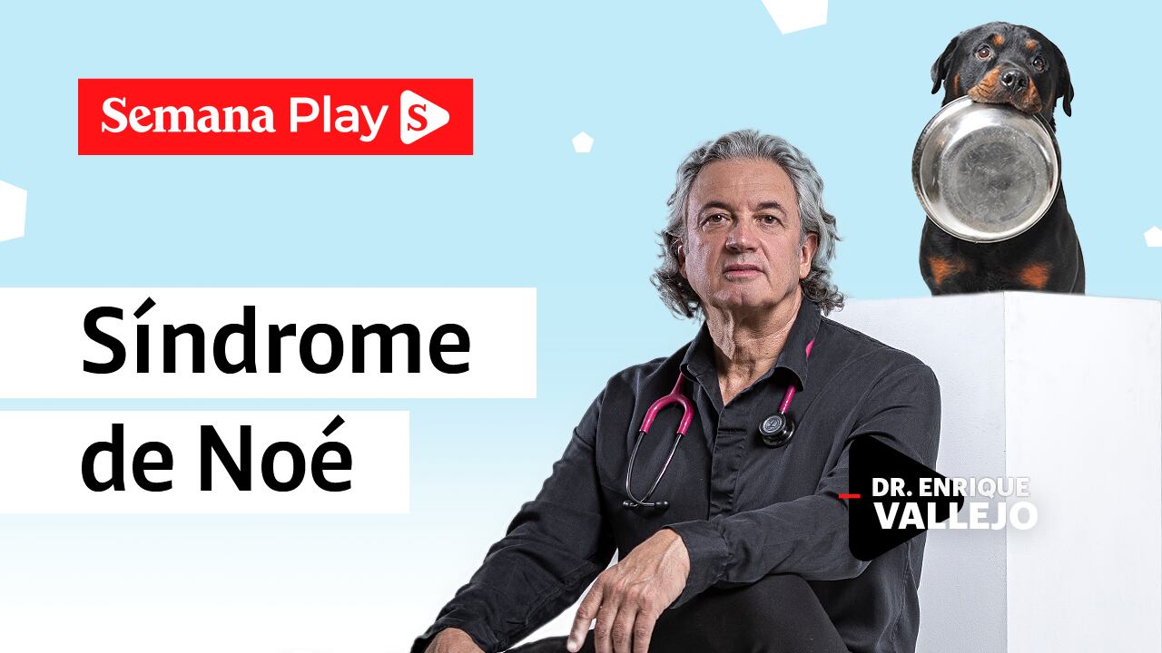 Síndrome de Noé | Enrique Vallejo en Salud Animal