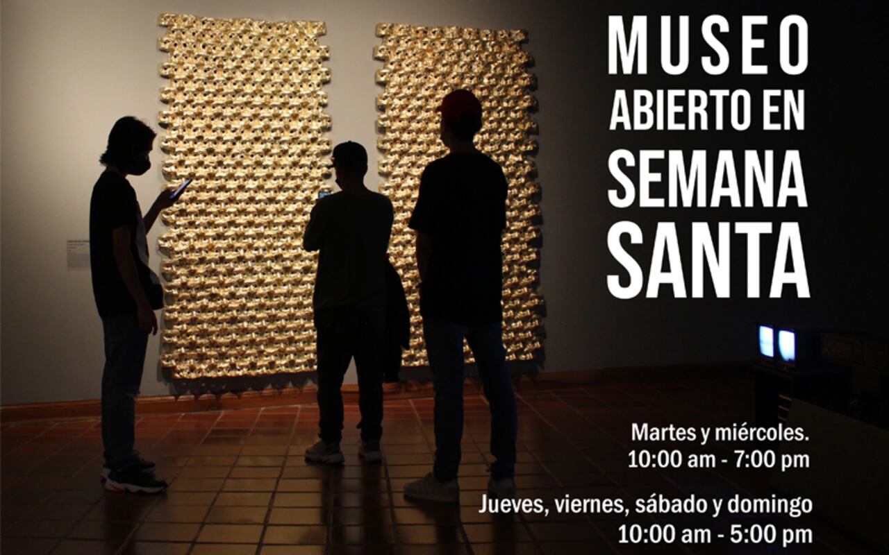 4 exposiciones presenciales, 1 exposición virtual, 84 artistas y un total de 136 obras de arte, estarán dispuestas esta semana en el MAP.